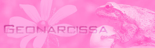 geonarcissa header