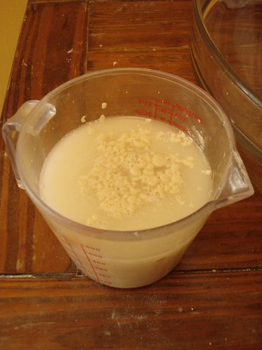 water, yeast, sugar, salt