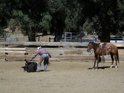 September 2010 | Californio Ranch Roping Club