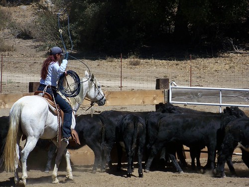 September 2010 | Californio Ranch Roping Club