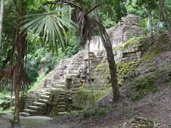 Mundo Perdido, Tikal