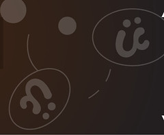 Umami Concepts Ltd
