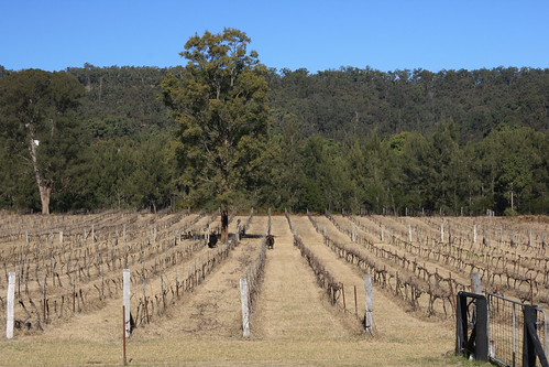 Wollombi Winery