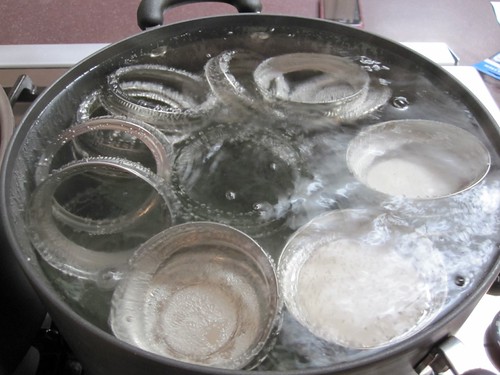 Sanitize the jars
