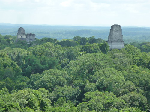 Blick von Templo IV ueber Tikalruinen