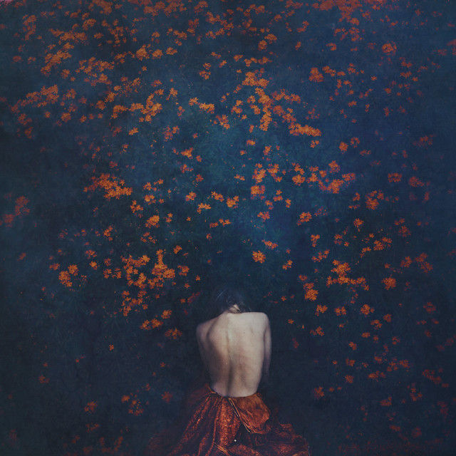 removing petals