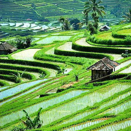 Unduh Gratis Gambar Daftar Kota Dengan Cuaca Dingin Dan Pemandangan Indah Di Indonesia Terbaru by Lampunghits.com