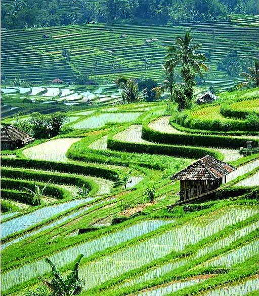 Gratis Download Gambar Kota Kota Pesisir Terindah Korea Selatan 2020 Terupdate oleh Lampunghits.com
