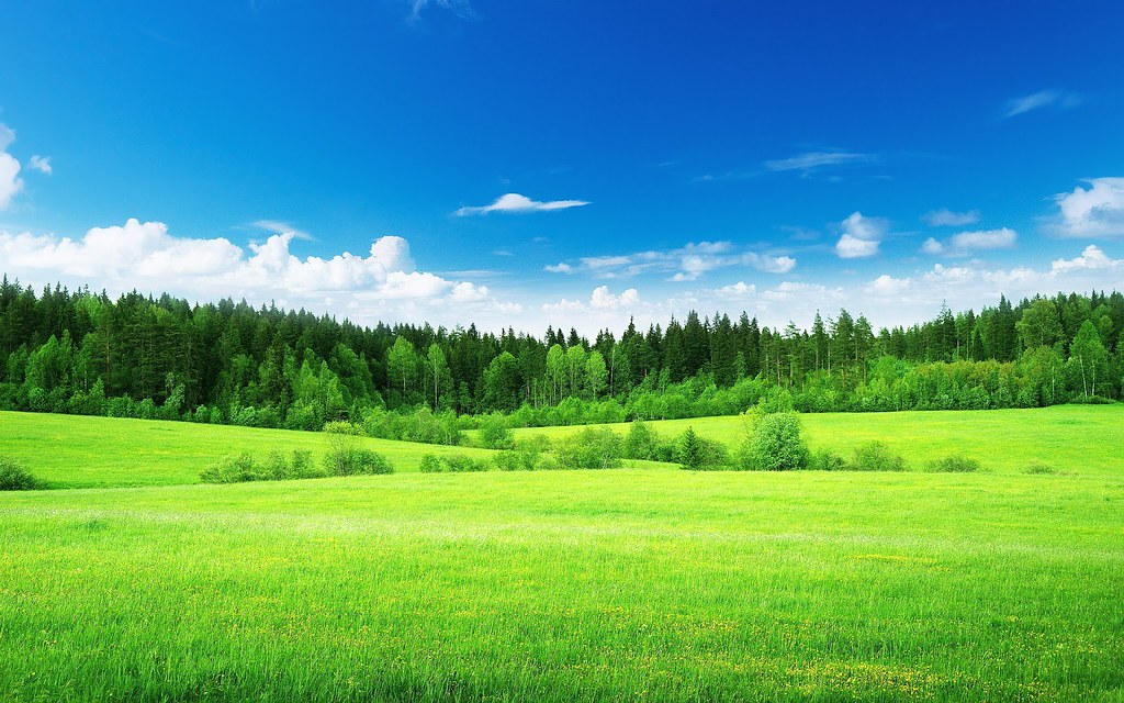 Free Gambar Download Wallpaper Pemandangan Alam HD Gratis Gratis Apk Latest Version 1 0 For Terkeren oleh Lampunghits.com