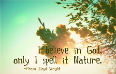 I believe in God, only I spell it Nature. -- Frank Lloyd Wright