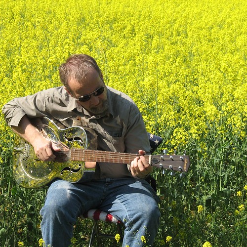 rapeseed blues