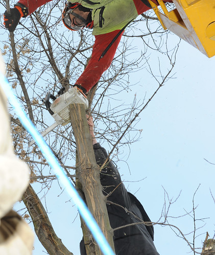 Kettensäge vs. Aktivistin 08.03.2010