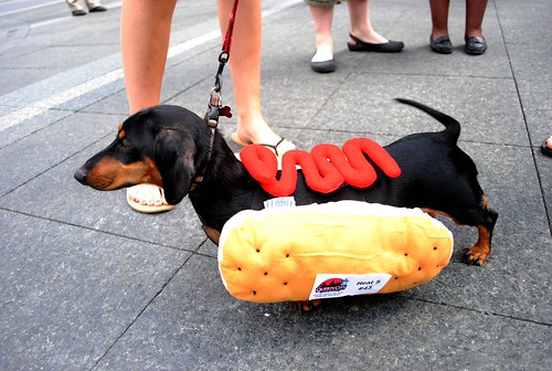 Running of the Weiners 2010