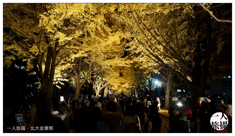 北大金葉祭 11