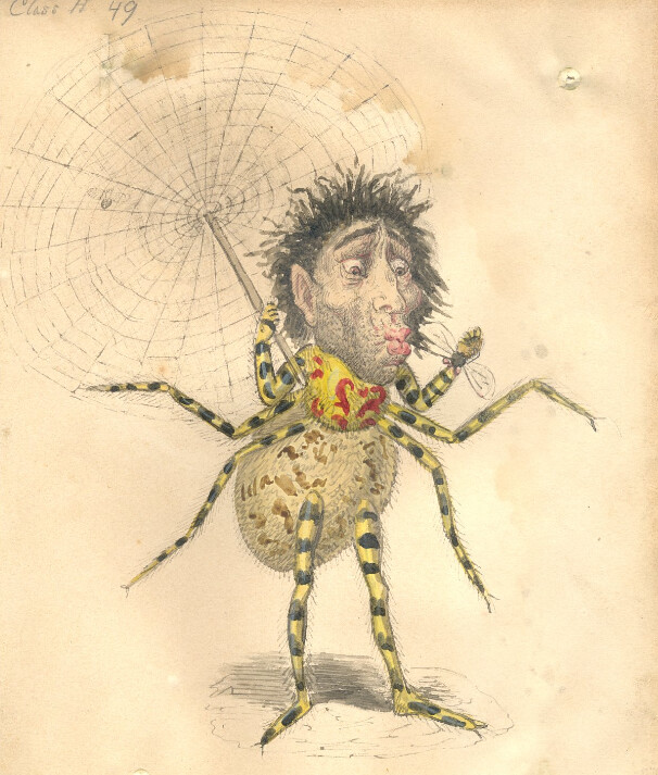Illustrating Carnival Remembering The Overlooked Artists