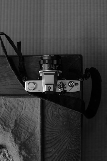 minolta SR505 | Flowers'Children