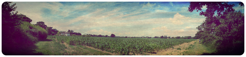 field in 1972 (click to enlarge) field in 1972 (click to enlarge)