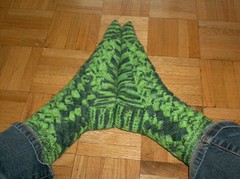Crocodilian Socks - Done
