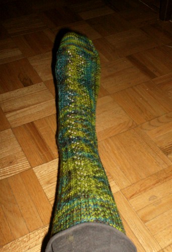 La Vie de Bois Socks - Sock 1 