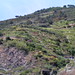 CinqueTerre (4)