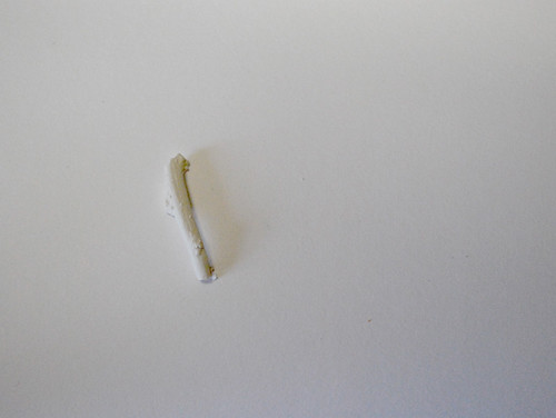 Potato 8