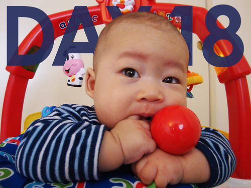 A Daily Dose of Bruce: Day 18