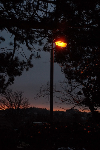 Daily photo #83 evening glow