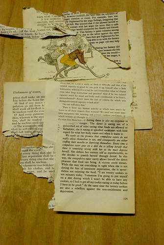 Collage 12