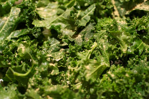 Seasoned kale