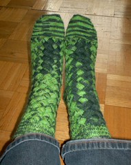 Crocodilian Socks - Complete
