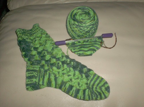 Crocodilian Socks - Sock #2 Toe