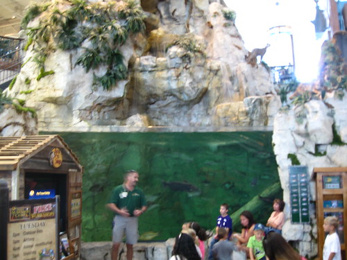 Ft Myers Bass Pro Shops Outdoor Pets Workshop