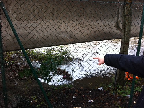 Urumea. 23 febrero 2011. 10am