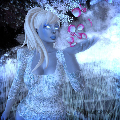 ice_008