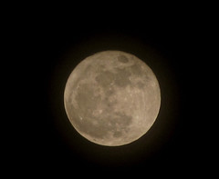 Supermoon Gray Supermoon Gray