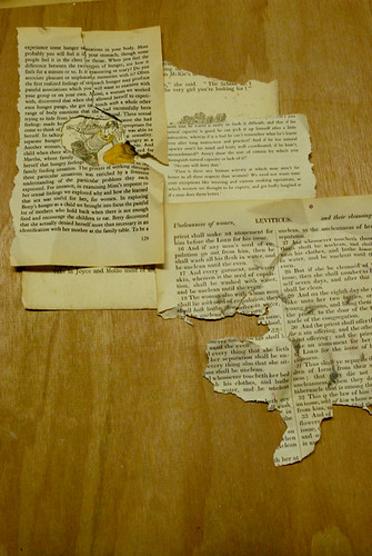 Collage 11
