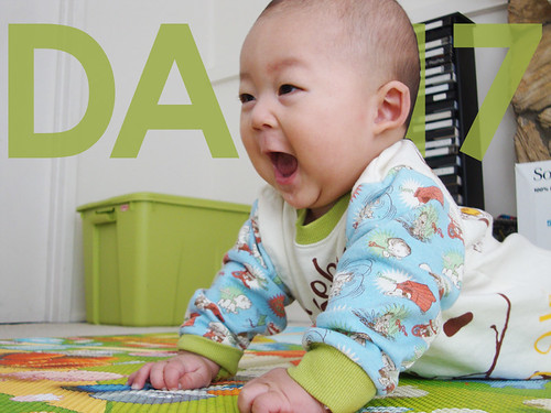 A Daily Dose of Bruce: Day 17