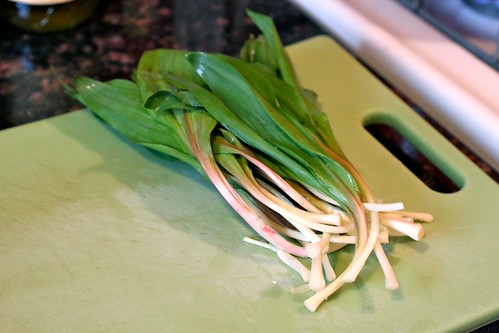 IMG_3051