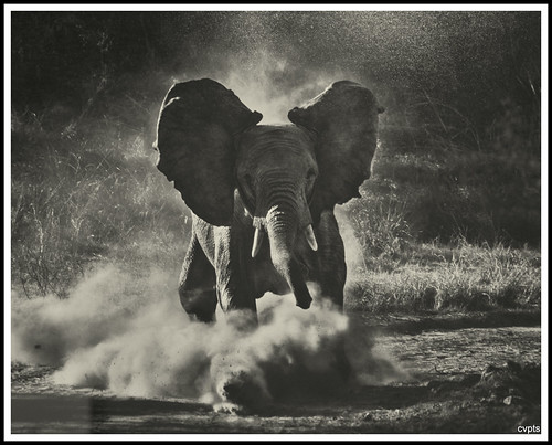 sebastião salgado - pedaços