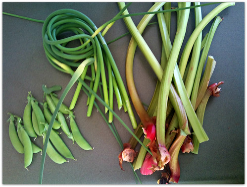 Garden Harvest June 10th