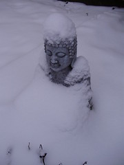 My garden Buddha statue in a robe of snow Still the idea of outlining left me cold.