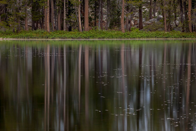 Siesta Lake by Charlotte Gibb
