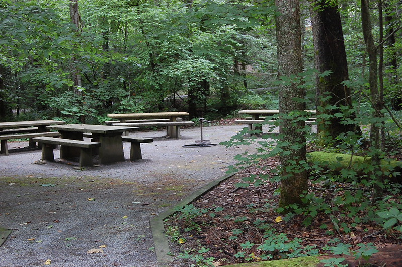 Cherokee National Forest