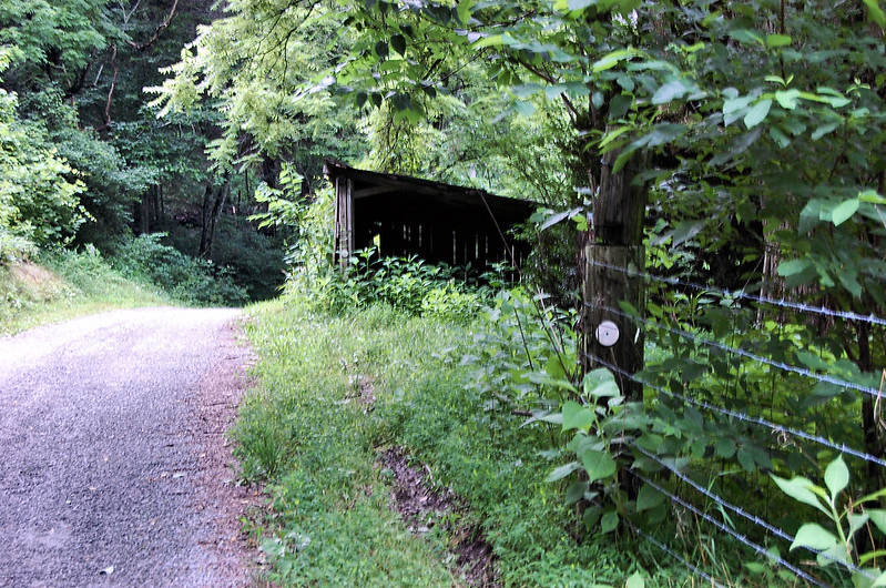 Cherokee National Forest