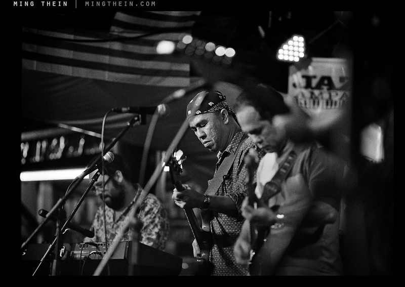 _8047782 copy