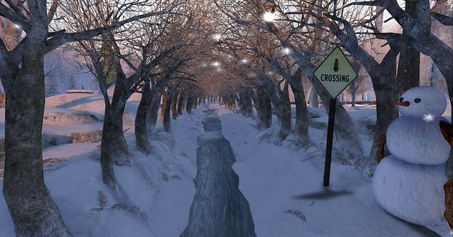 The Trace