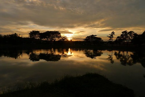 Reflections