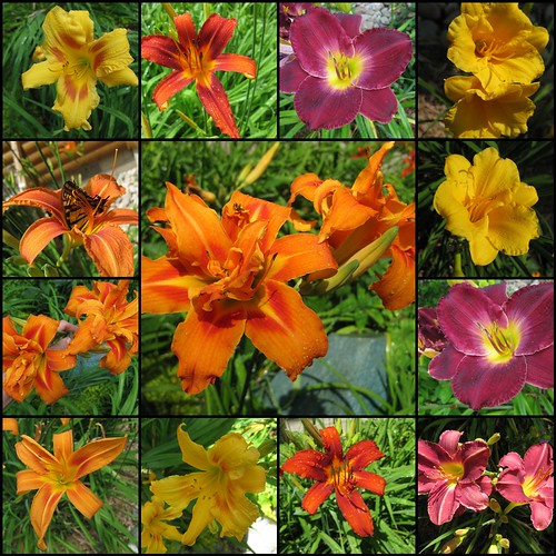 mosaic436afa139d9c4b4a5eedf467bda7dc17f9ff867b