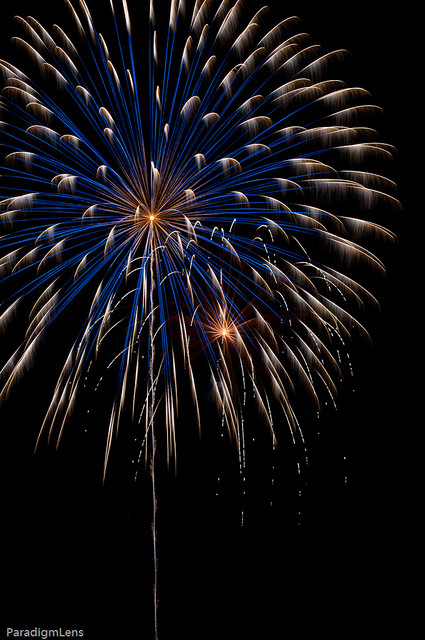 blue dandelion blue firework burst with trail