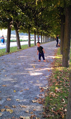 IMAG0090